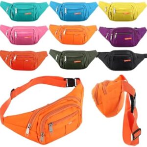 Reginary 9 Pcs Fanny Pack for Women Waist Bag Packs Men Crossbody Waterproof Adjustable Fanny Pack Running Bag Running Fanny Pack for Travel Hiking Running Outdoor (Chic Color)